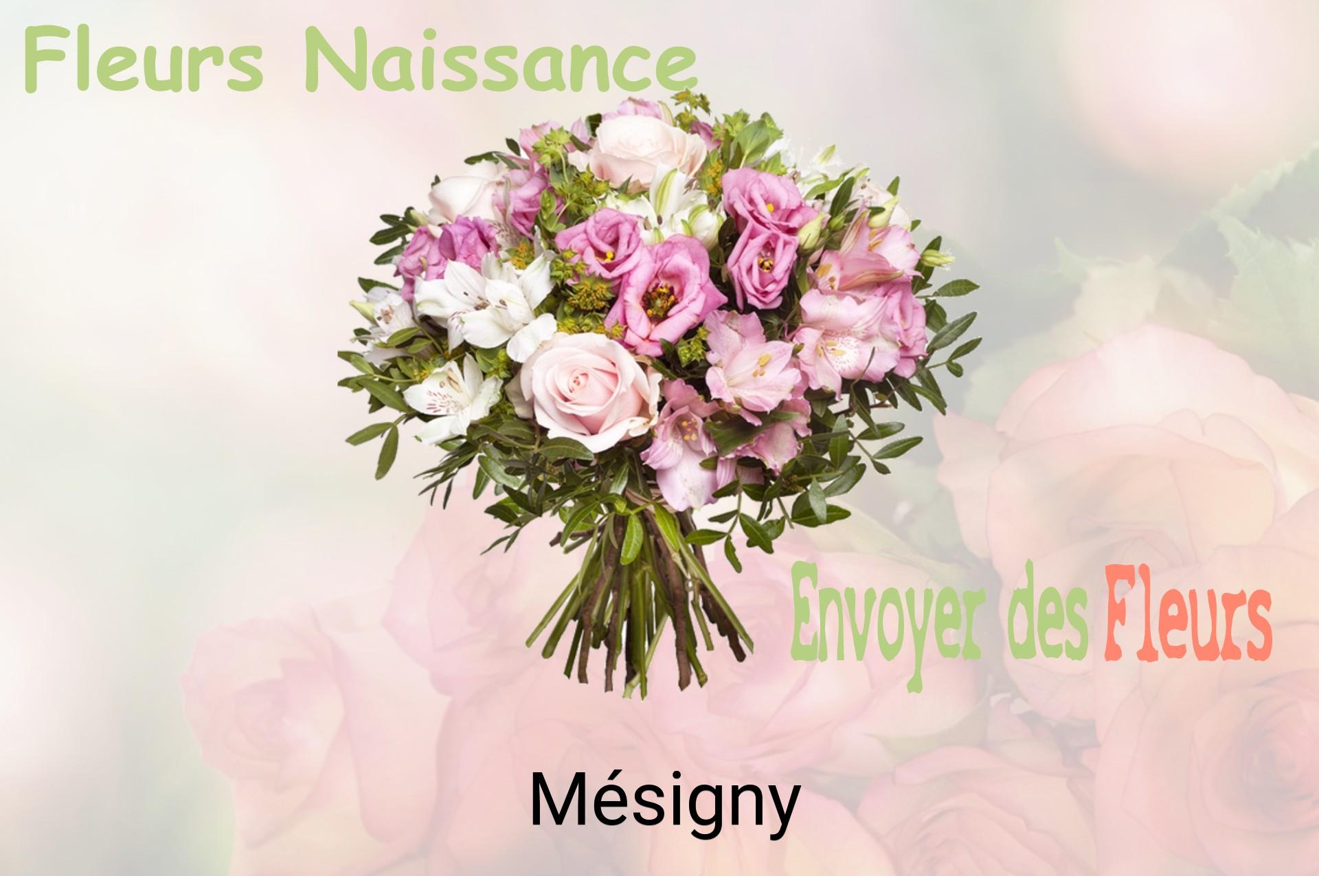 Bouquet de fleurs de naissance livré à Mésigny